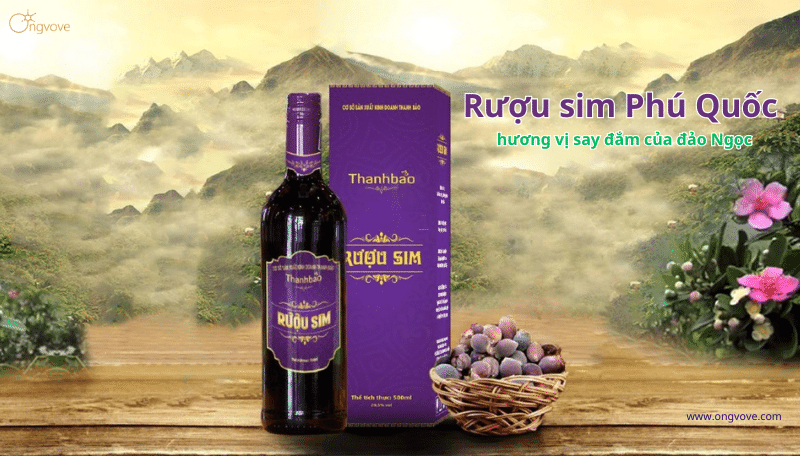 Rượu sim Phú Quốc nên mua ở đâu thơm ngon, chuẩn vị nhất?