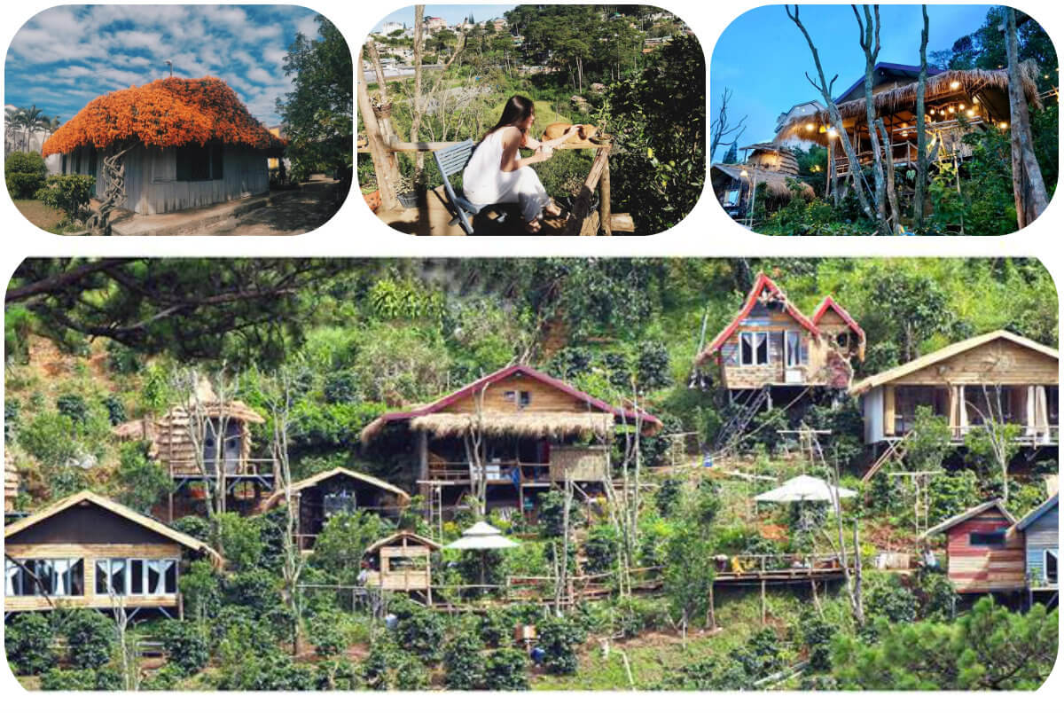 Cú Trên Cây Homestay
