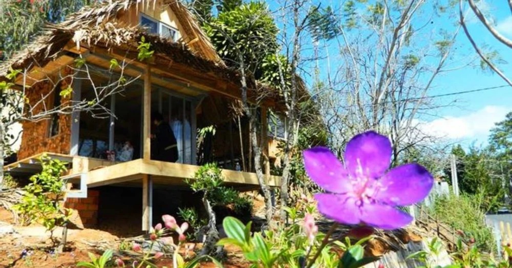 Củi Homestay Đà Lạt