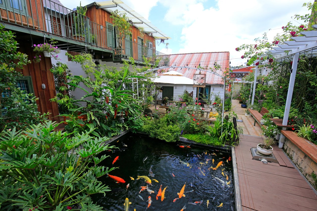 Six Six Garden - Rose Koi Homestay
