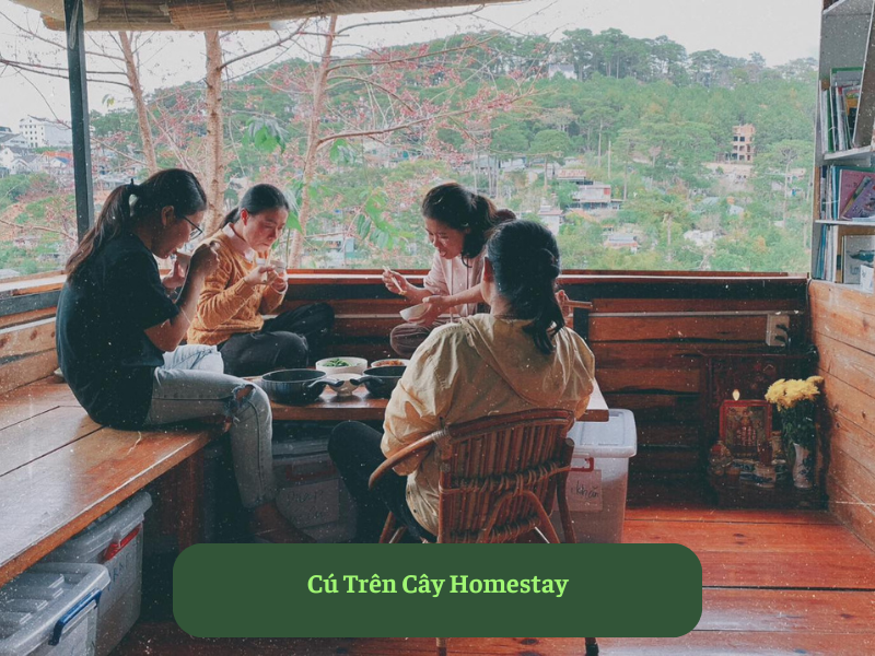 Cú Trên Cây Homestay