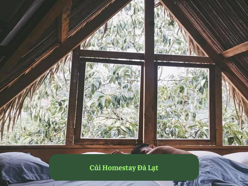Củi Homestay Đà Lạt 
