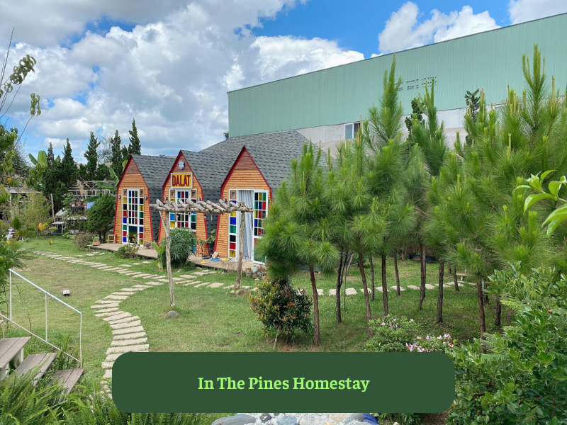 In The Pines Homestay