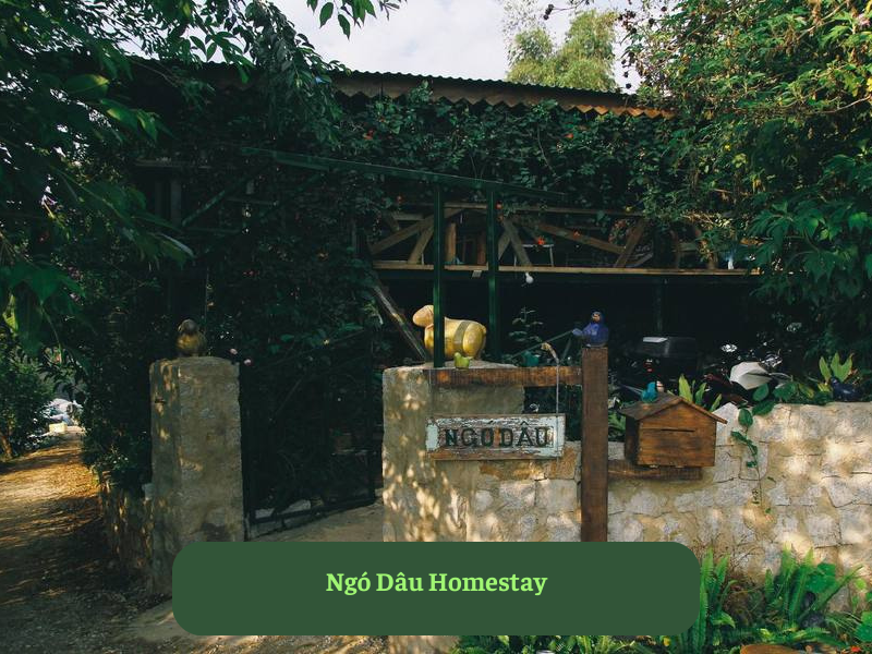 Ngó Dâu Homestay