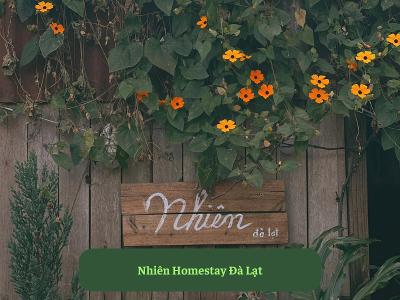 Nhiên Homestay
