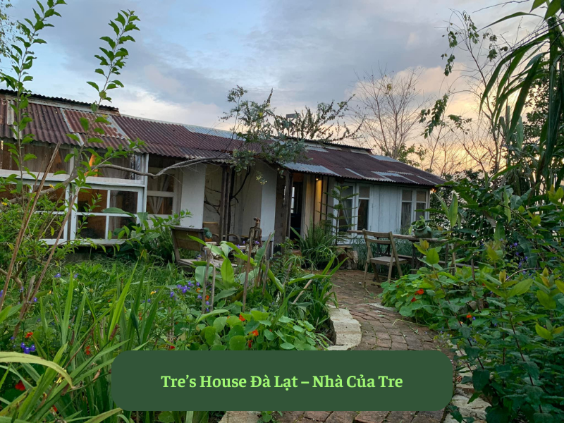 Tre’s House Đà Lạt – Nhà Của Tre