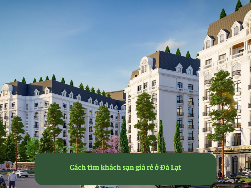 Cách tìm khách sạn giá rẻ ở Đà Lạt
