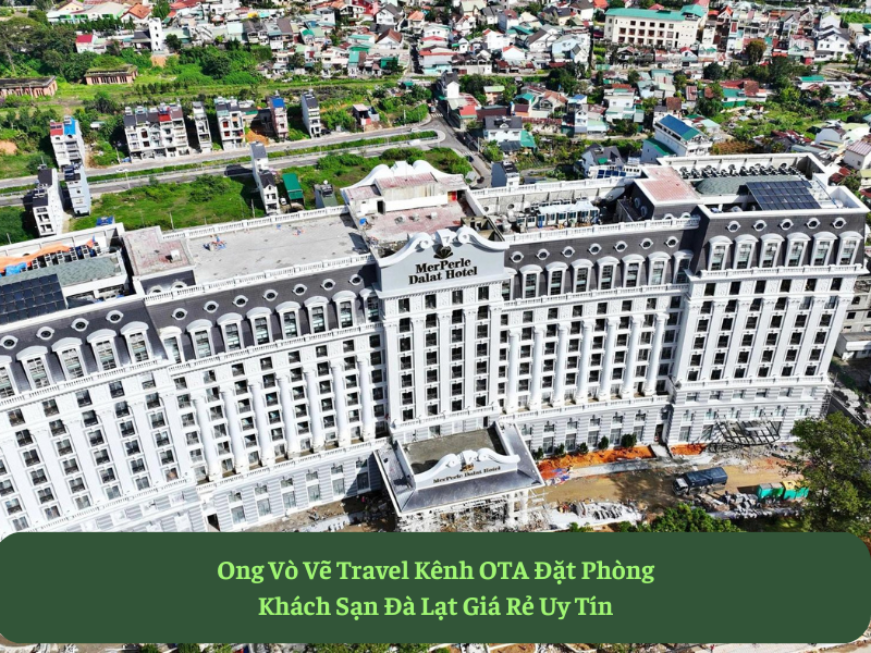 Ong Vò Vẽ Travel Kênh OTA Đặt Phòng Khách Sạn Đà Lạt Giá Rẻ Uy Tín