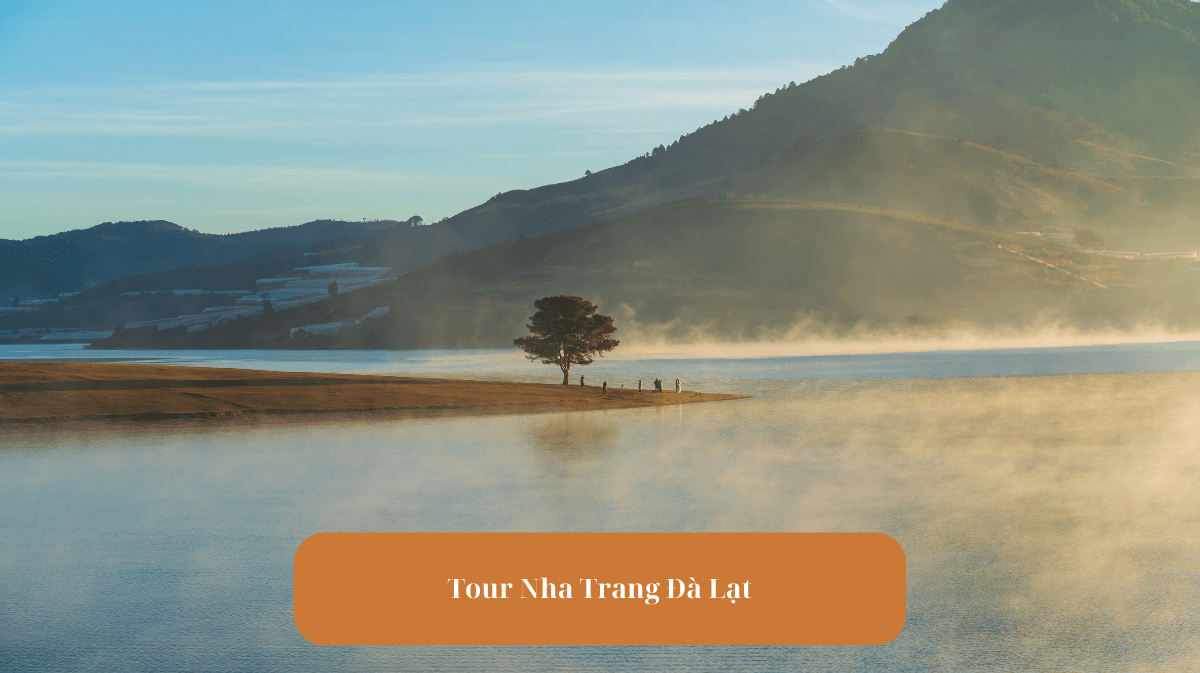 Tour Nha Trang Đà Lạt