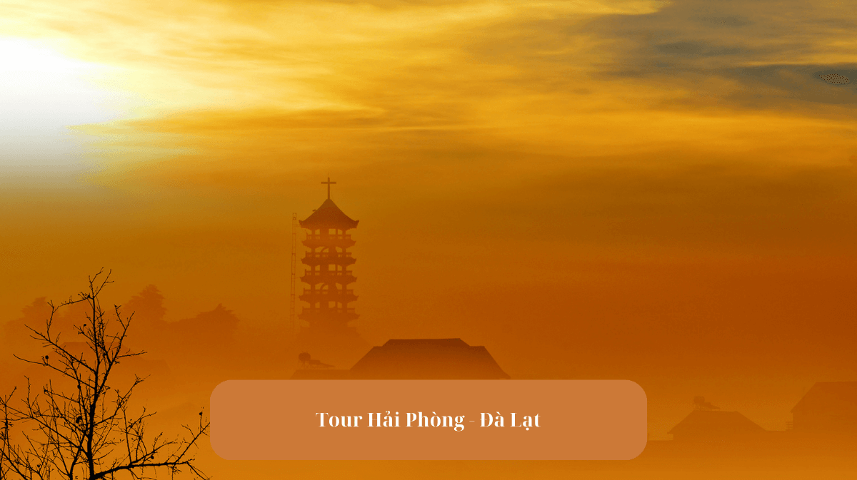 Tour Hải Phòng - Đà Lạt