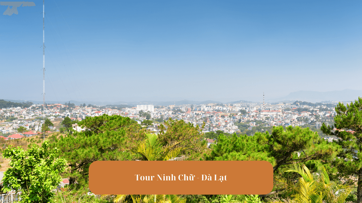 Tour Ninh Chữ Đà Lạt