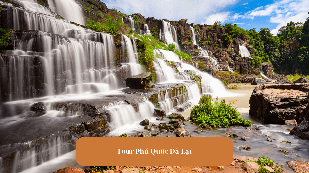 Tour Phú Quốc Đà Lạt