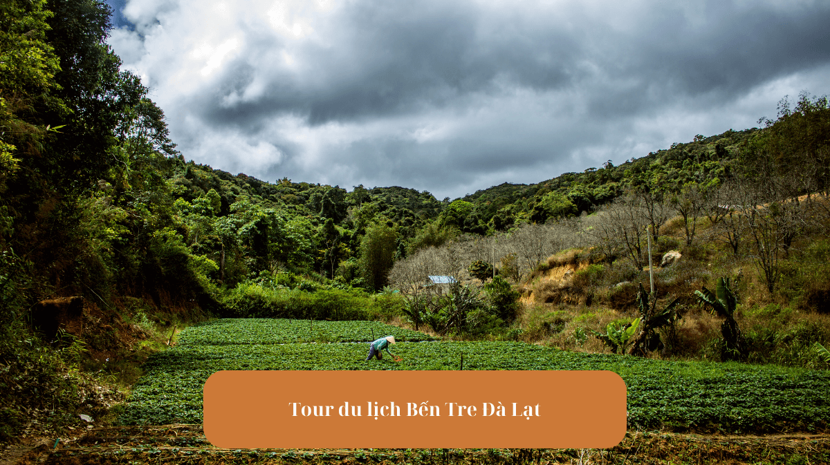 Tour du lịch Bến Tre Đà Lạt