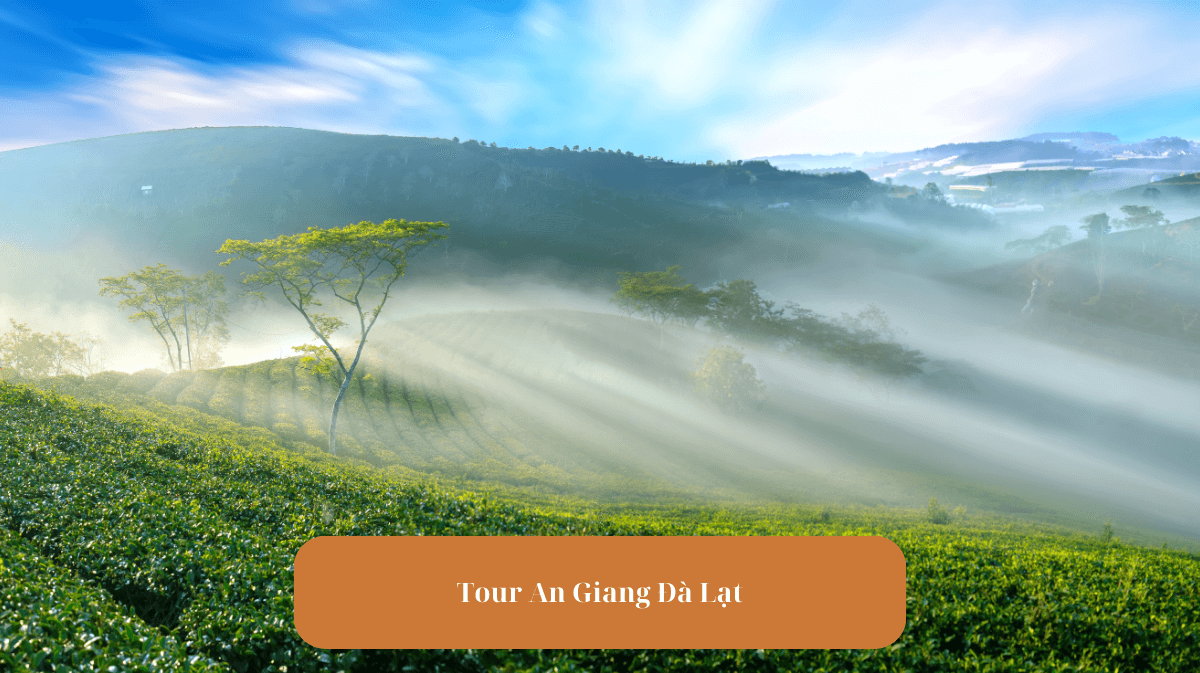 Tour An Giang Đà Lạt