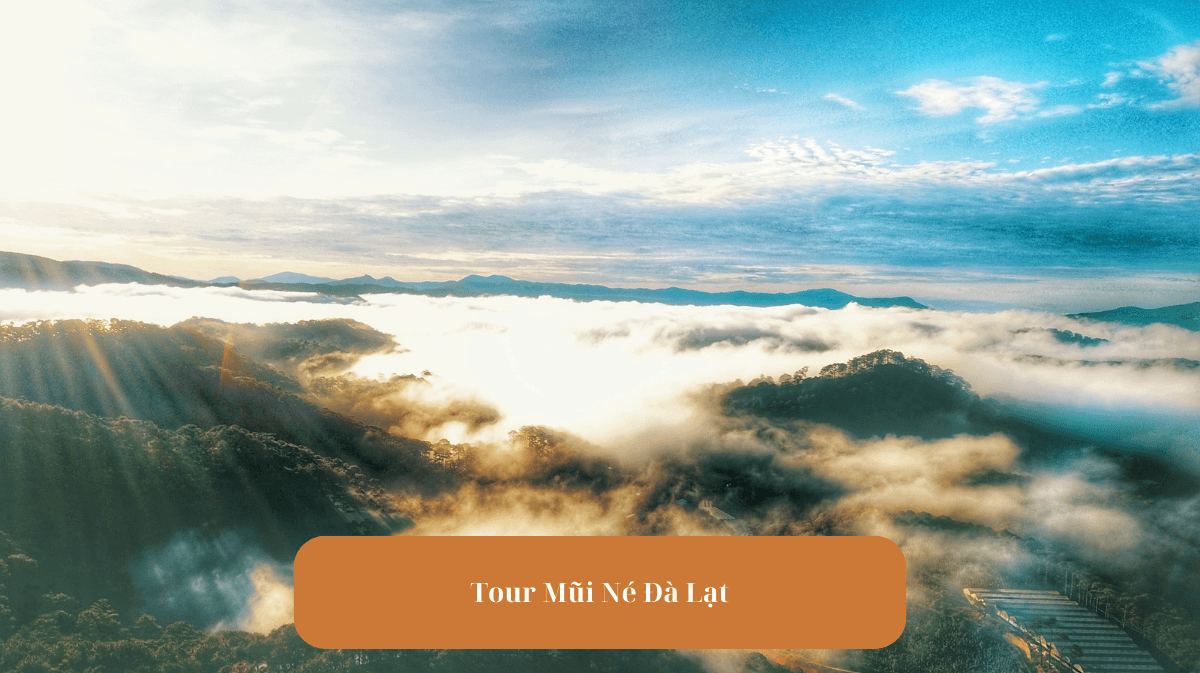 Danh Sách Tour Mũi Né Đà Lạt Giá Rẻ Nhiều Ưu Đãi 