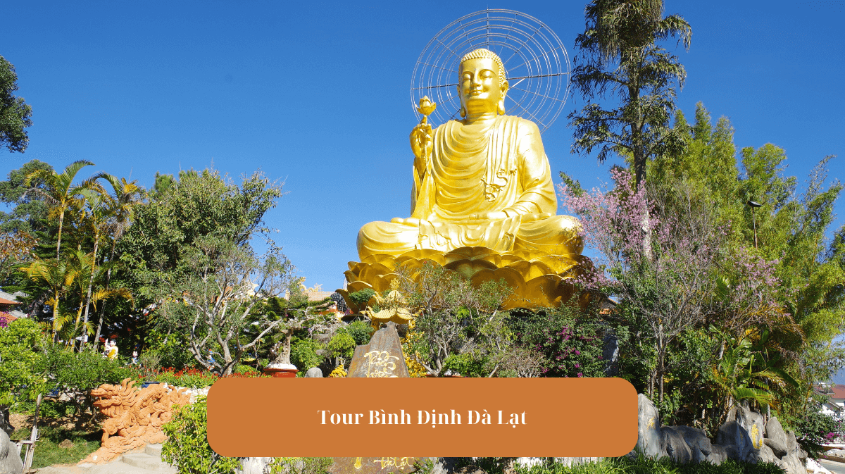 Tour Bình Định Đà Lạt