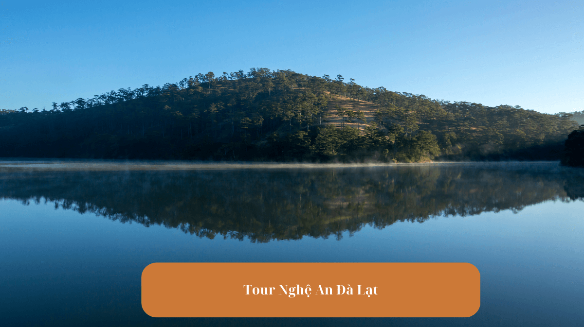 Tour du lịch Nghệ An - Đà Lạt: Khám phá hai miền diệu kỳ: