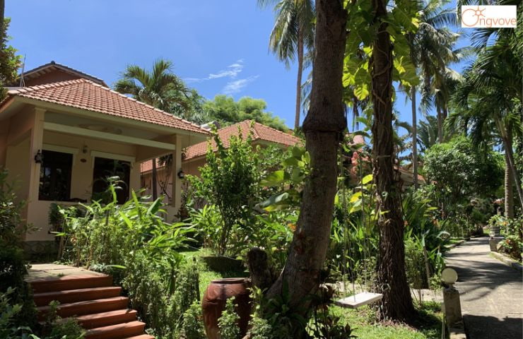 Hiệp Thạnh Resort