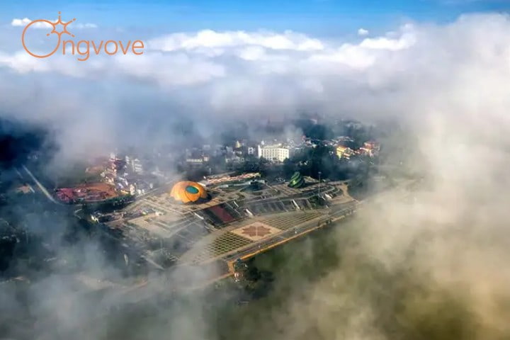 Đà Lạt tháng 11 có gì đẹp