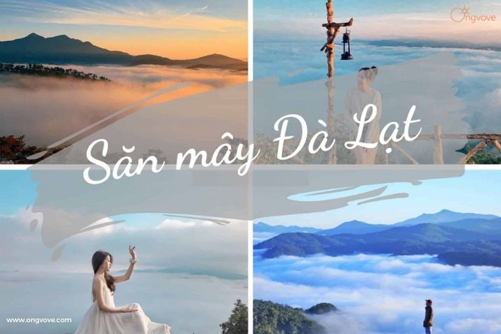 săn mây đà lạt