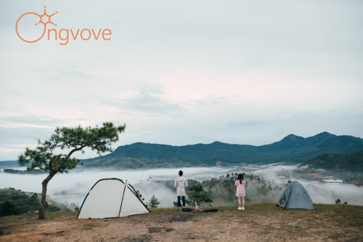 Kinh nghiệm đi Đà lạt tự túc