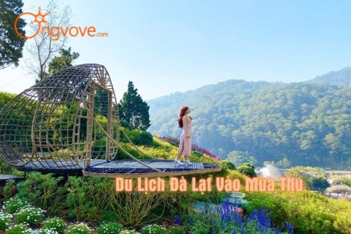 Du lịch Đà Lạt vào mùa Thu có gì đẹp ?