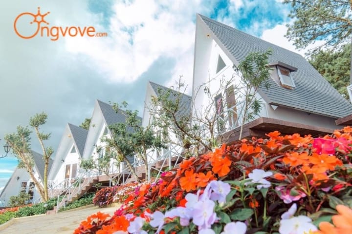 Homestay Lâm Phượng Các Hill