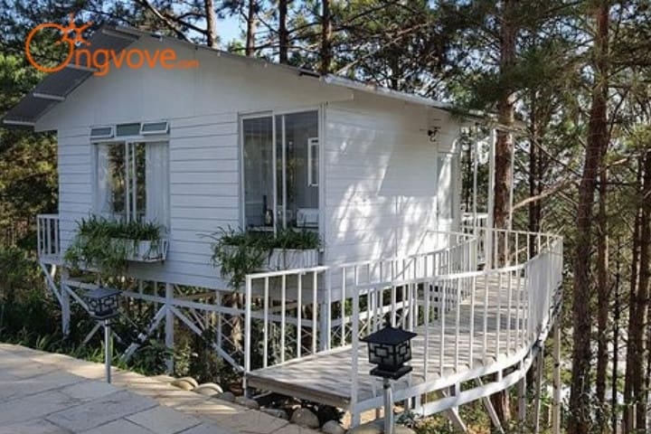 Homestay Pine Hill