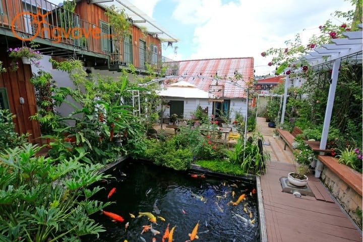 Cá Koi Homestay Đà Lạt
