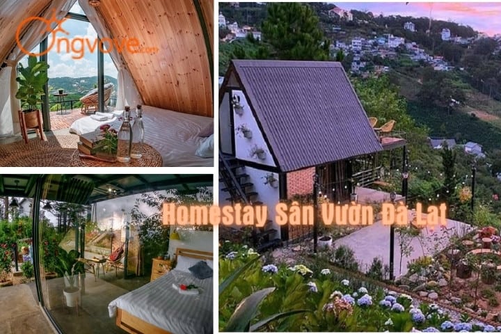 LengKeng Da Lat Homestay