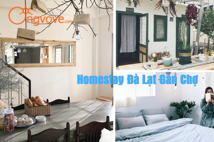 Homestay Đà Lạt Gần Chợ Đêm