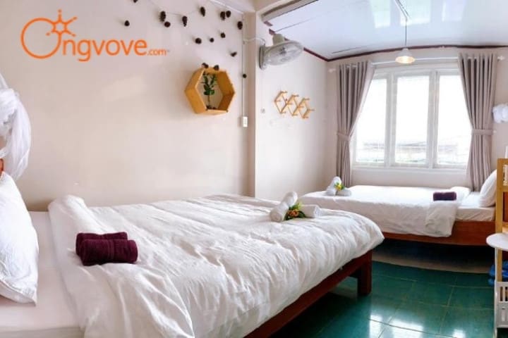 Pho Khong Nang Homestay Dalat