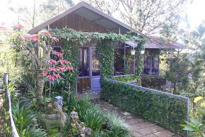 Pine Hill Homestay
