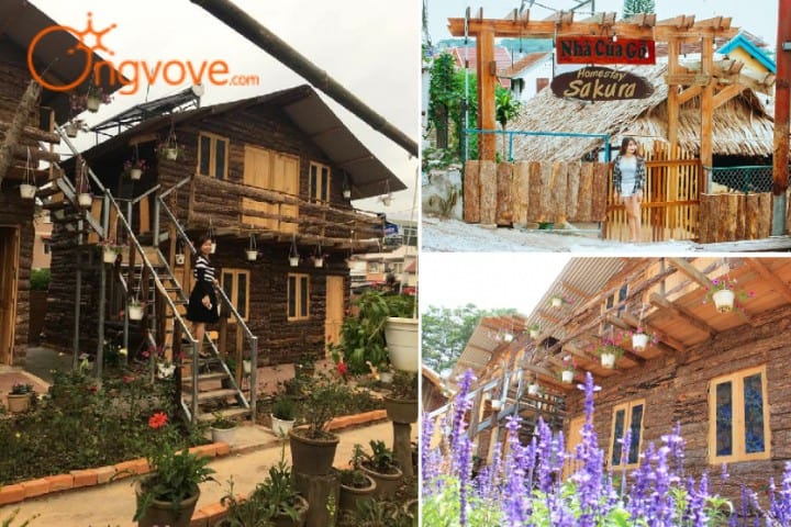 Sakura homestay Đà Lạt