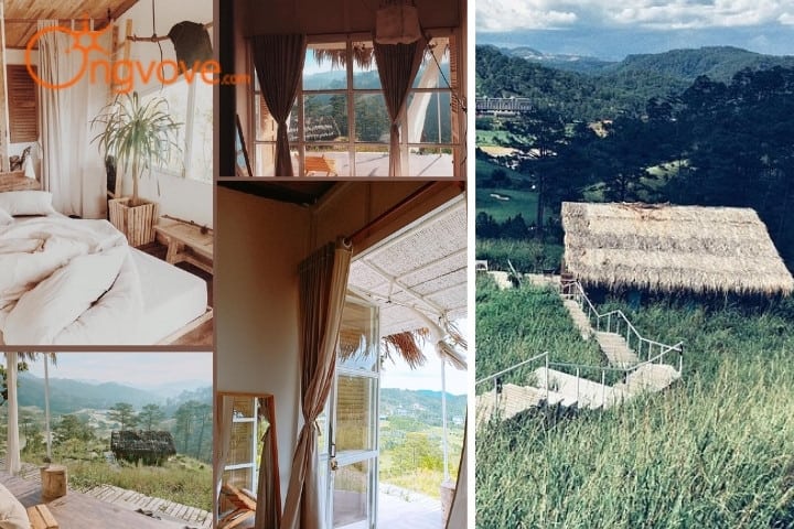 The Wilder-nest-da-lat