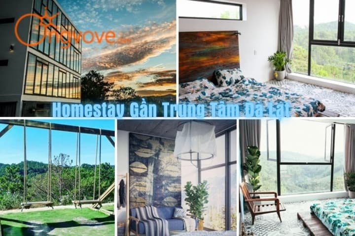 Top homestay chất lượng có view đẹp gần trung tâm