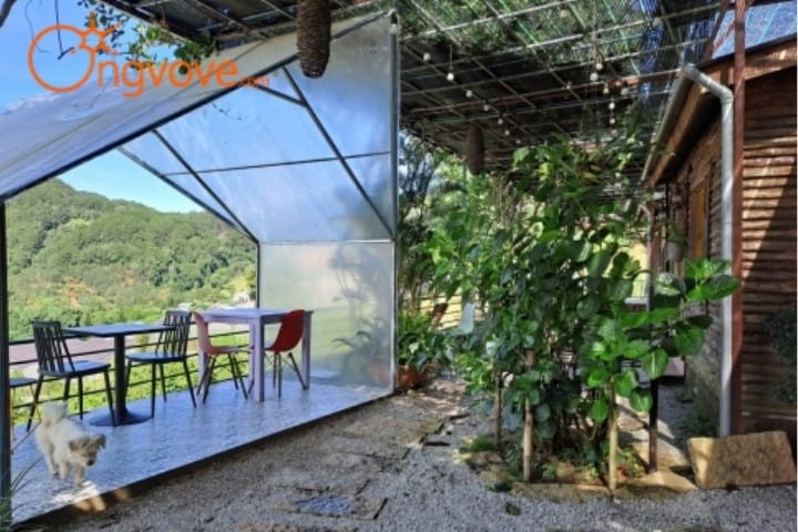 Cối Xay Gió Homestay Đà Lạt