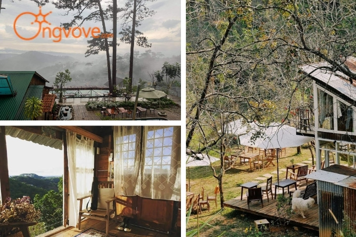 Đợi Một Người – Homestay view núi Đà Lạt tuyệt đẹp