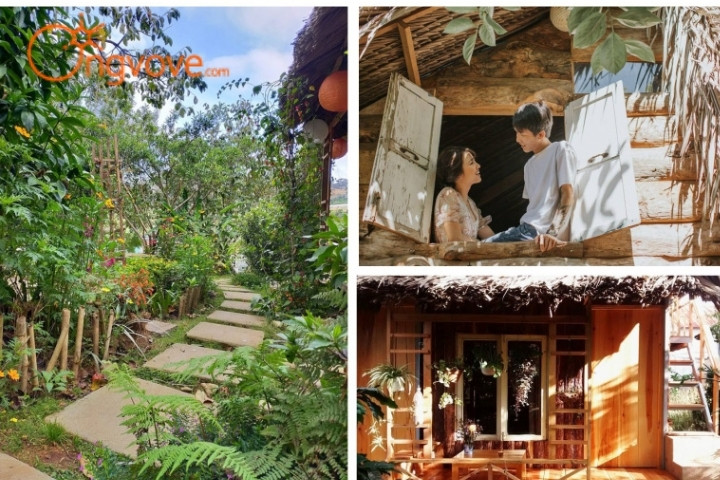 Homestay Củi - Trải nghiệm cuộc sống nông dân trong rừng