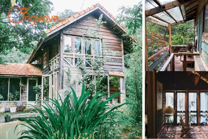 Homestay Le Bleu - homestay trong rừng cục xịn