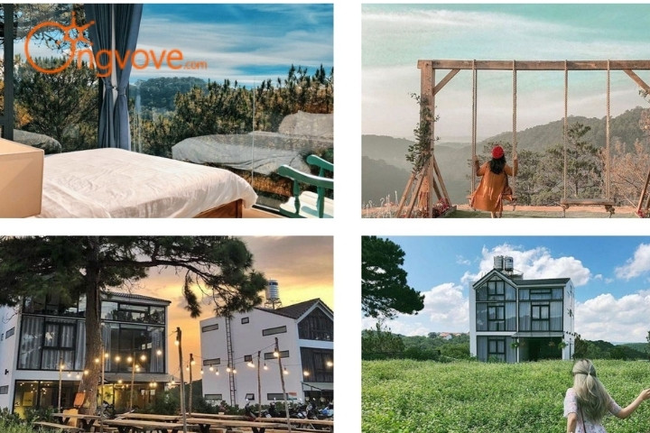 Homestay The Kupid – Homestay hiện đại giữa rừng thông