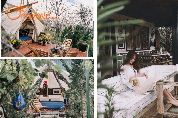 Homestay The Shelter