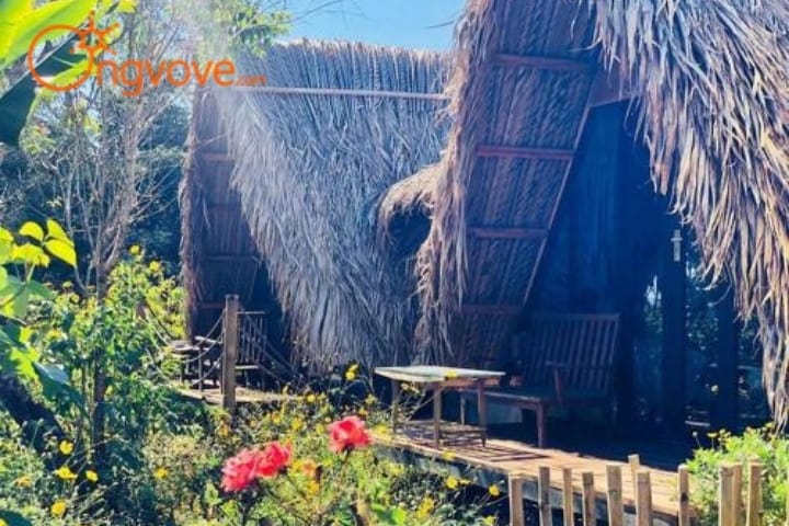 L Amant Homestay Đà Lạt