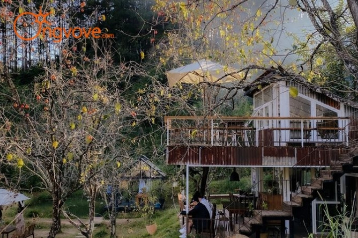 Nhà Của Nắng Homestay Đà Lạt view rừng thông