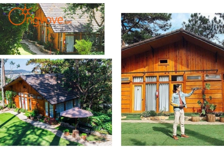 Nomini – Homestay trong rừng thông ở Đà Lạt