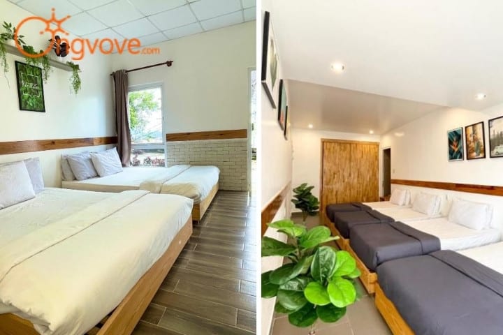 Đà Lạt Topview Homestay