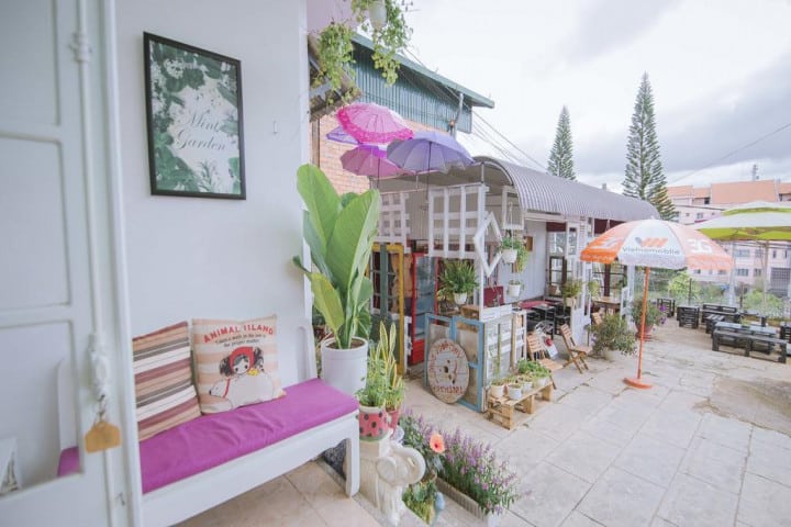 Mint Garden homestay Đà Lạt