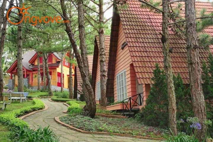 Đồi Mộng Mơ resort