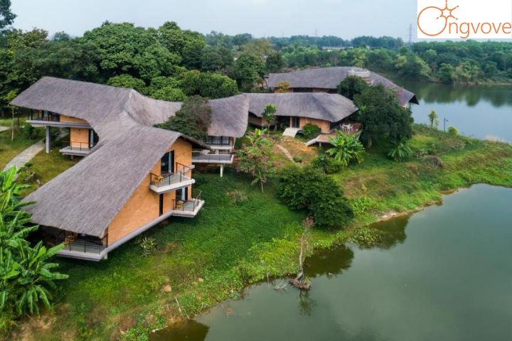 Tomodachi Retreat Làng Mít – Sơn Tây, Hà Nội