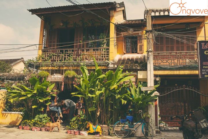 Old Yellow House